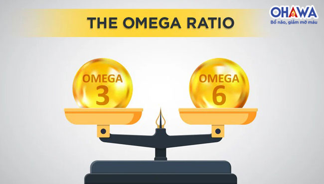 Có nên quan tâm tỉ lệ Omega 3 và Omega 6?