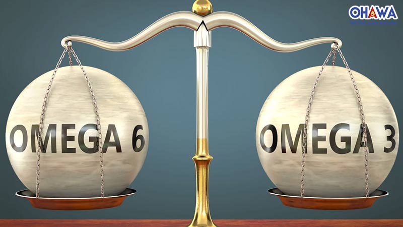 Tỉ lệ Omega 3 và Omega 6 là gì?